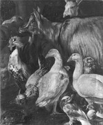 Tierbild mit Ziegen und Geflügel